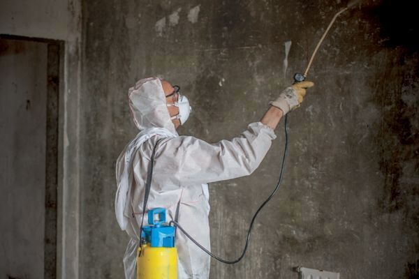 Fire Restoration