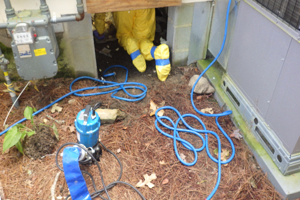Sewage Cleanup
