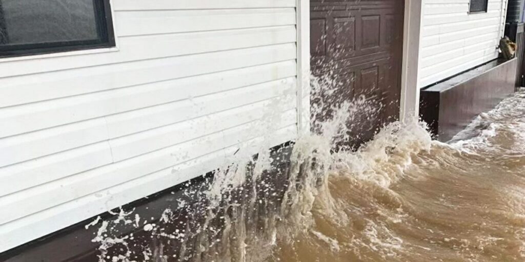 Catastrophe Recovery