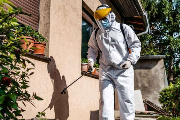 Animal Droppings Cleanup